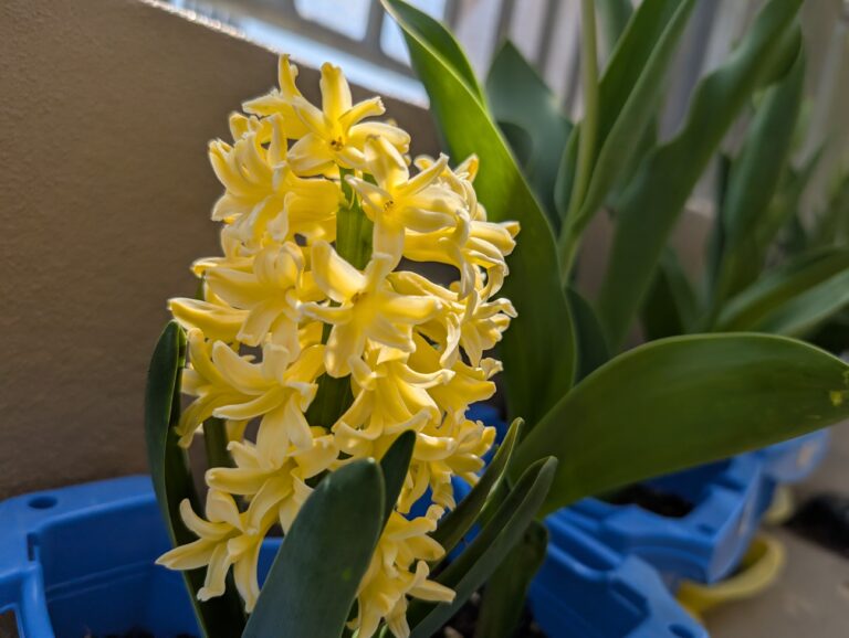 2025年度始まりにあたって