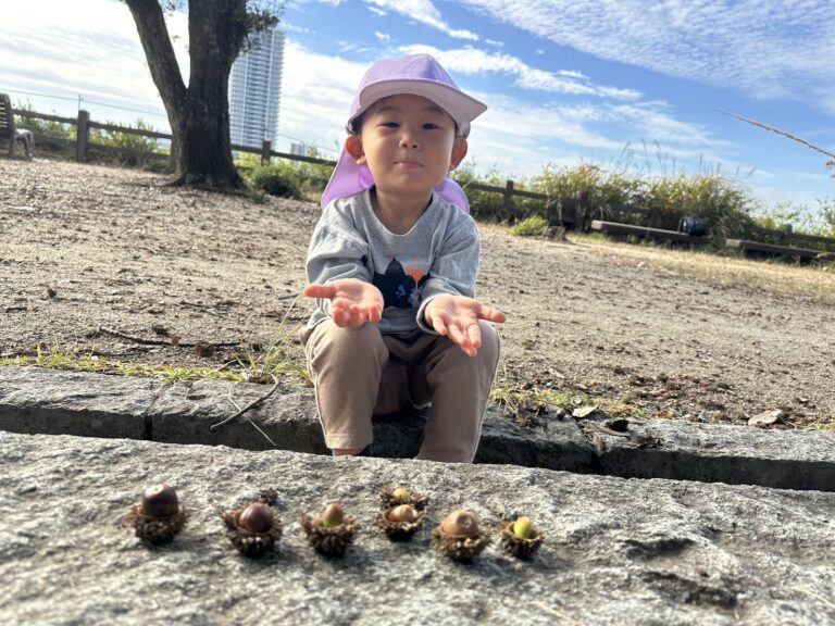 秋を探しにいったよ🍂