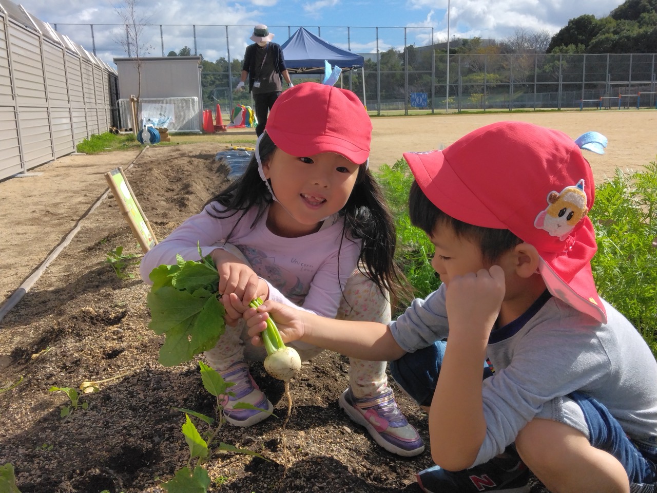おもしろいことなんでもくじら級