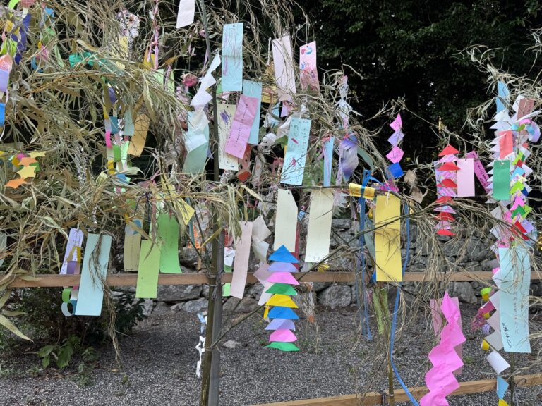 7.7.7 『願い事 天までとどけ🎋』