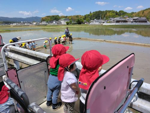 １歳児だいちチーム「おさんぽで発見」