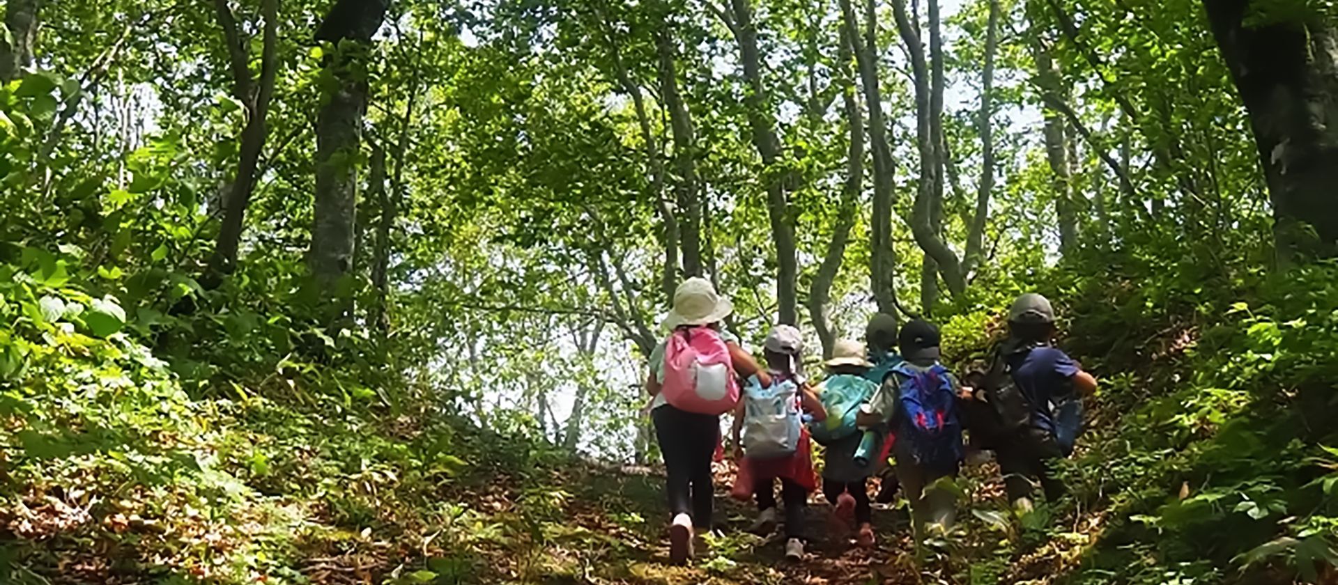 おもしろいことなんでもくじら級