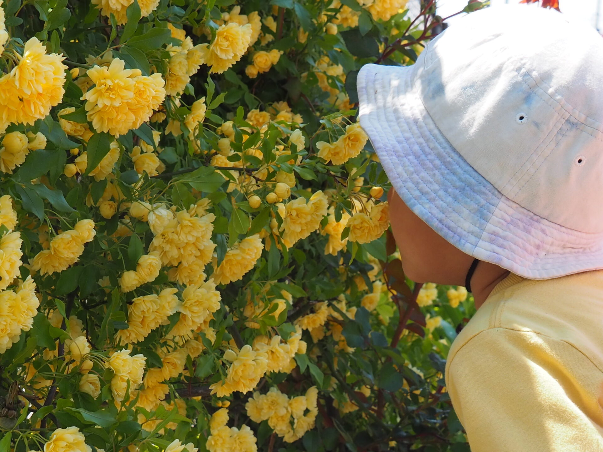 波・宝物・そして船