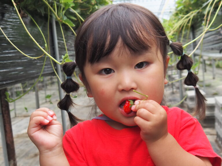 「おいしい‥イチゴ！」