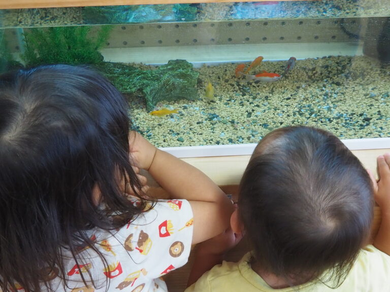 『僕たちも保育士です？！』