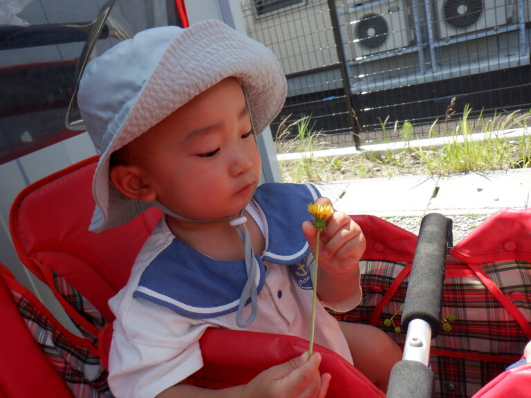 たんぽぽ・キラキラ～