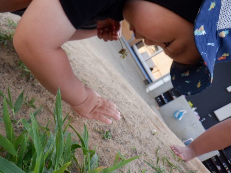 ありさん見ーつけた！