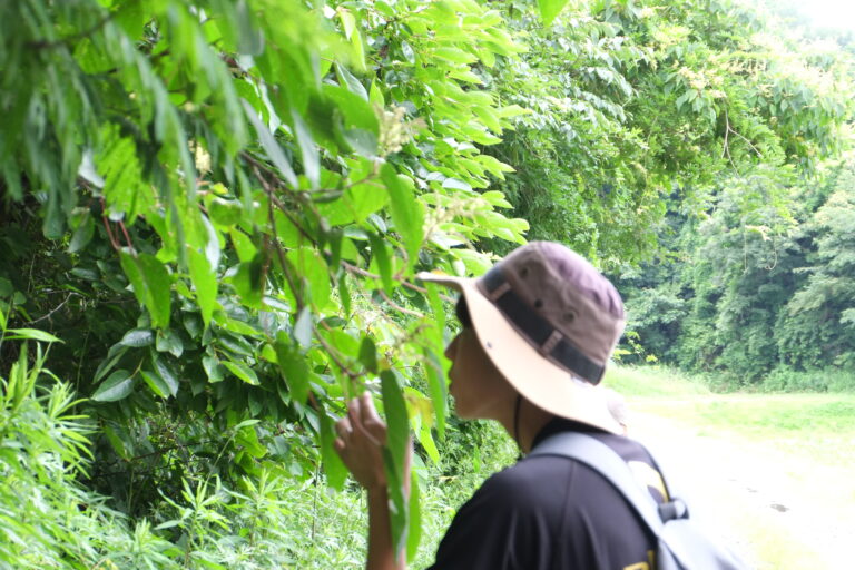 自然と触れ合う日（職員編）