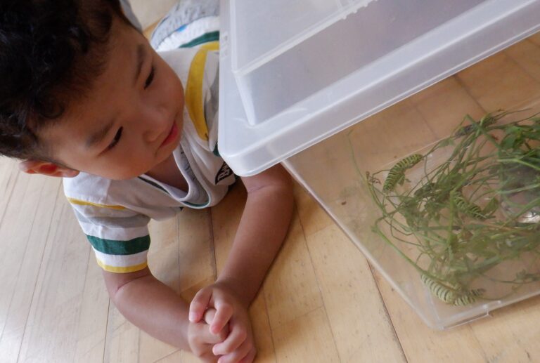 新しいおともだち