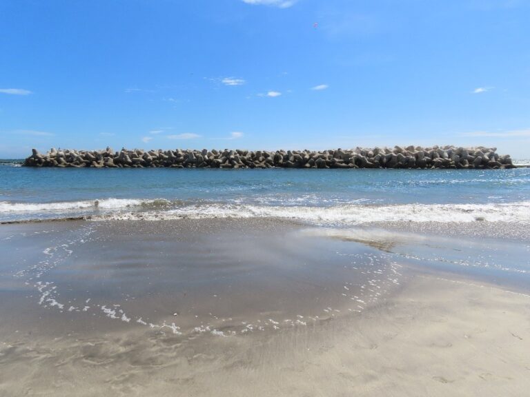 宝物あるかな？