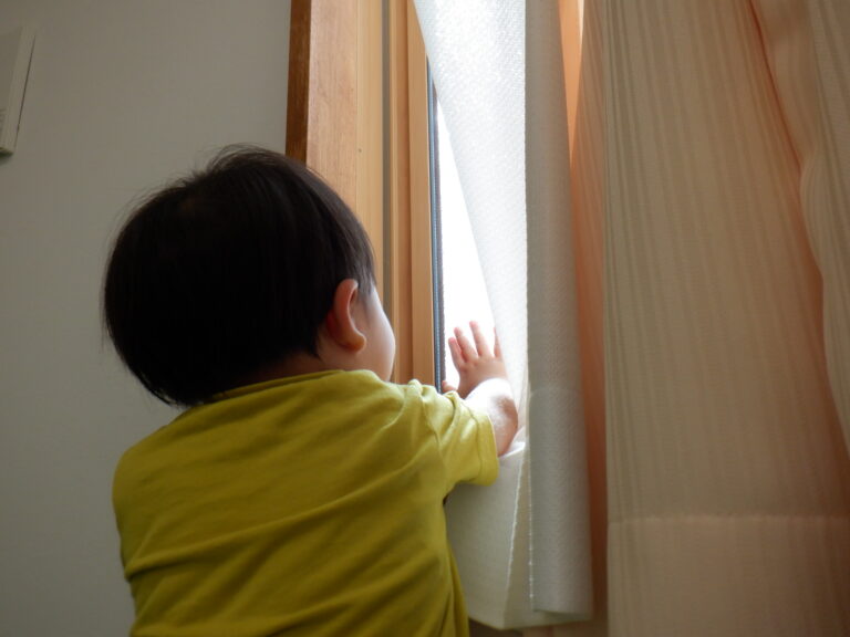 山の上で見えたもの