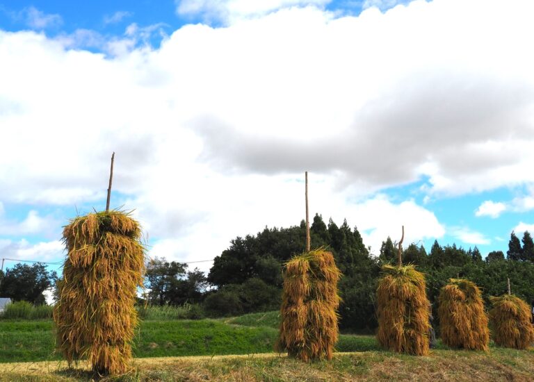 駆け足でやってきた秋空の中で！！