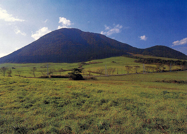 もう一つの・・楽しみ！！