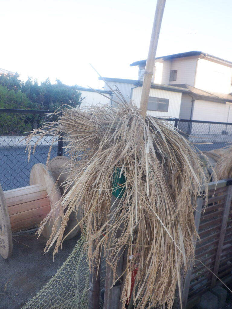 今日は、新米パーティーの日。