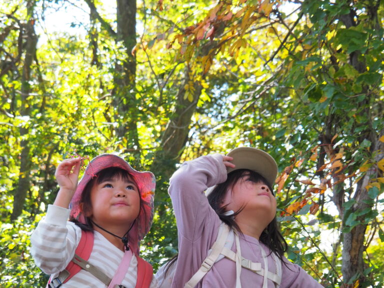 かぼちゃ色の山へ！