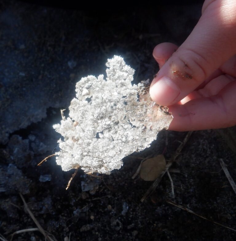 氷でお料理しよう！