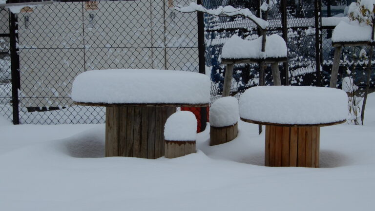 一晩で２０ｃｍ