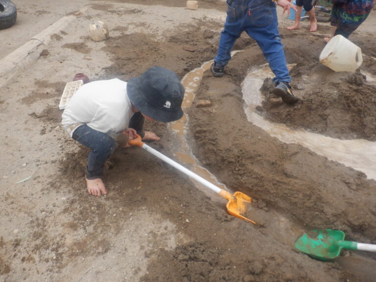 今日もこんな感じです！