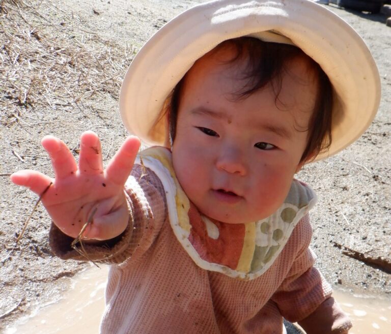 空からの贈り物