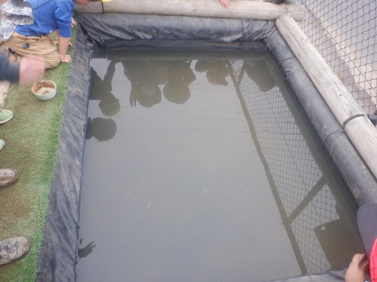 水面に映った自分の顔