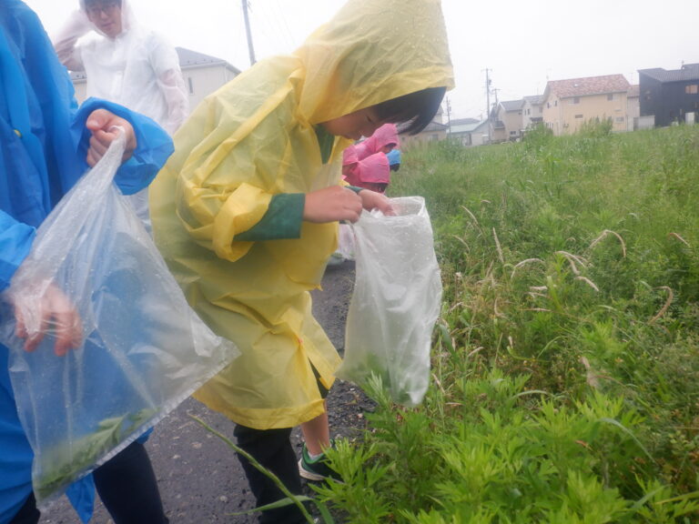 よもぎ団子の準備