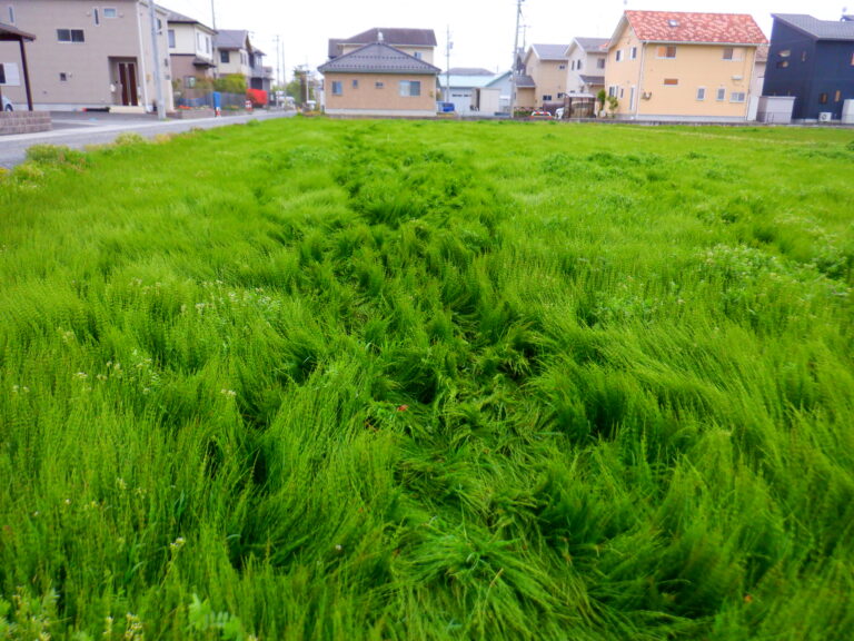 さぁ！！冒険の始まりだ！！