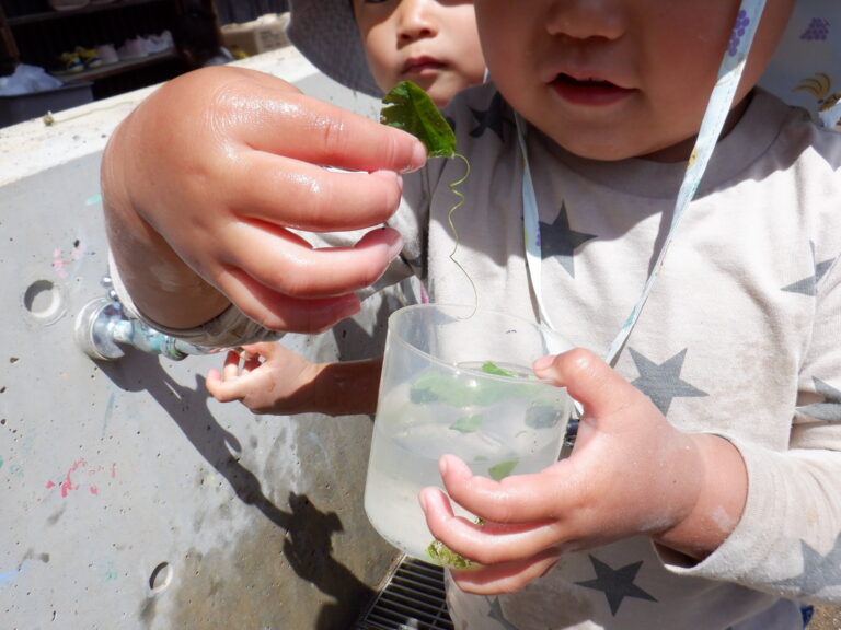 見て見て、水の中には・・・。