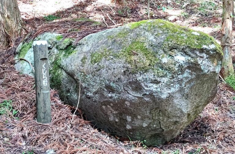 山の中で”クジラ”発見
