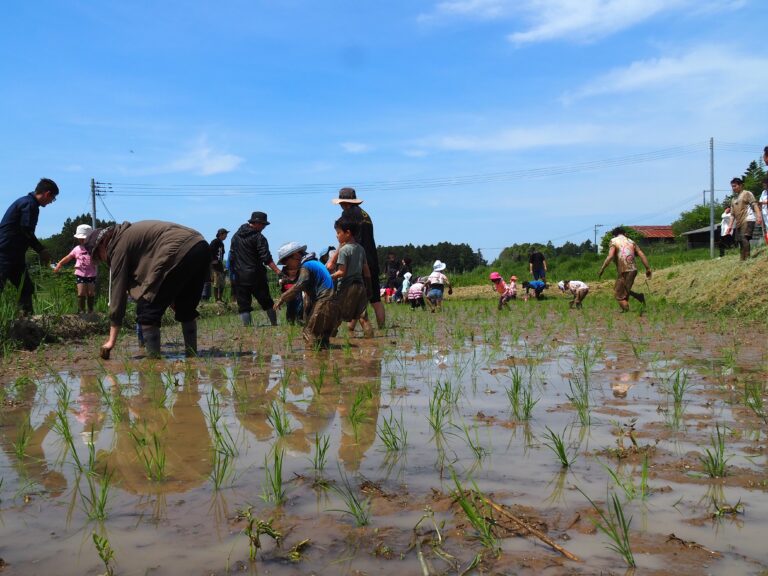 ”田植え”という名の泥んこ遊び！