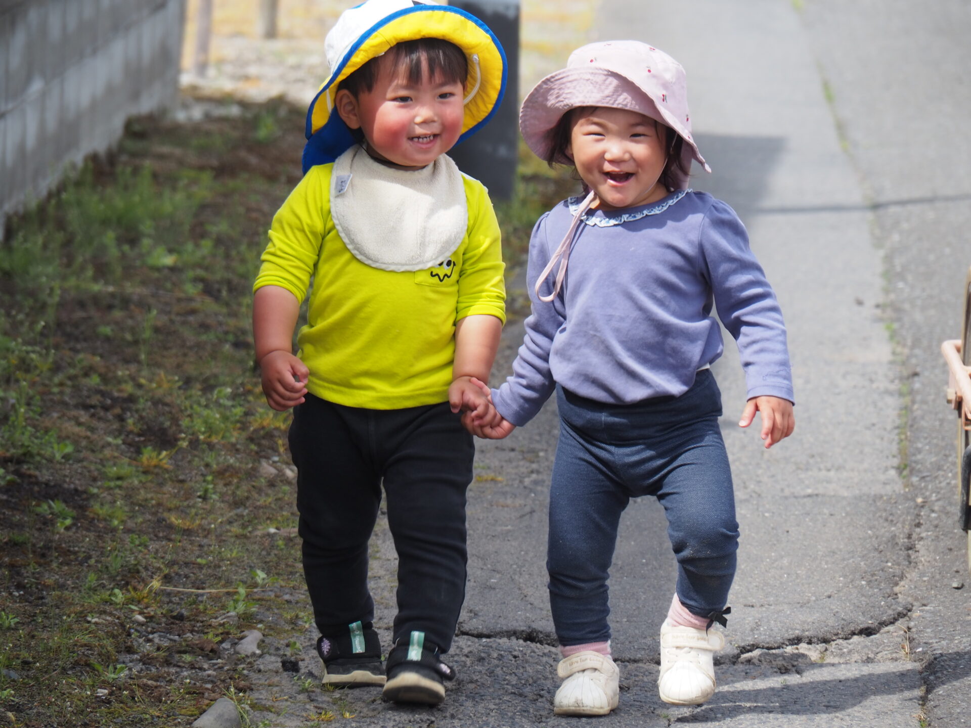 FEATURES園の特色