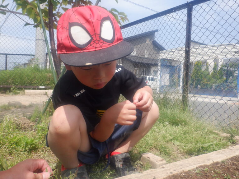 待ちに待った…