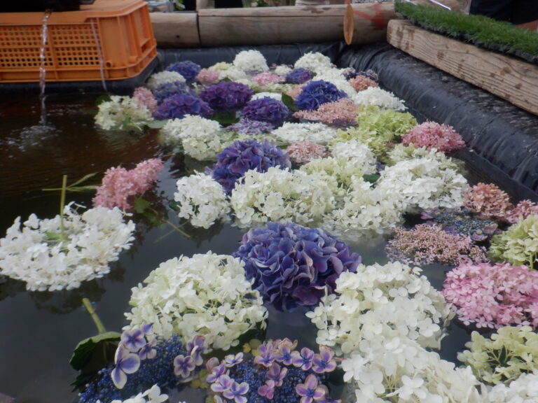 「カラフルできれいだなぁ」