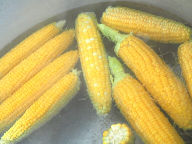 俺のとうもろこし