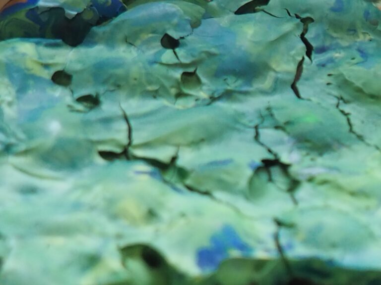 バオバブ作品展の告知！！