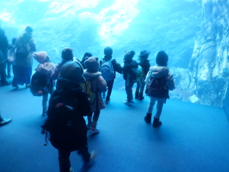 水族館ツアー②