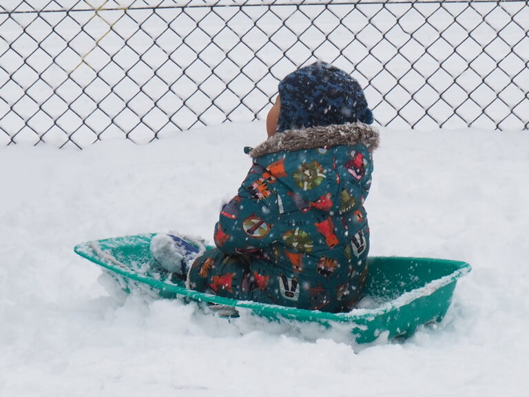 大寒波の到来！オーライ！！
