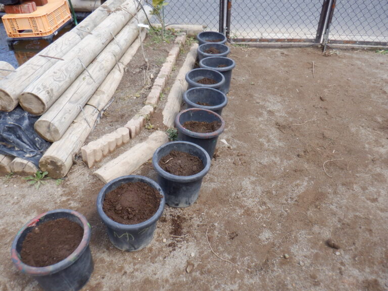 夢いっぱいのプランター