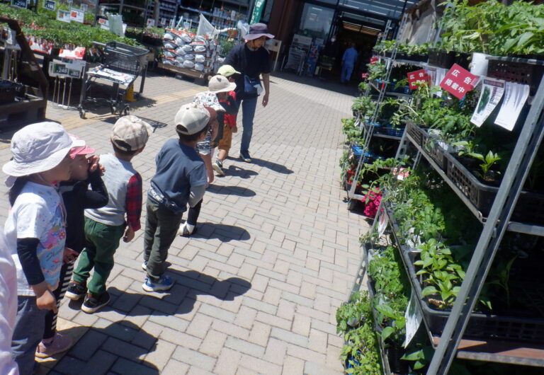 はたけのひかりー第１弾！