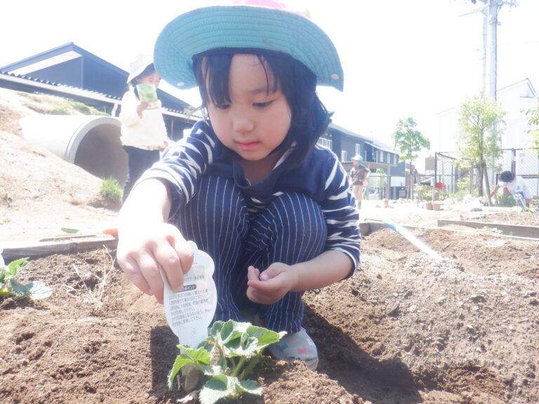 お世話してます