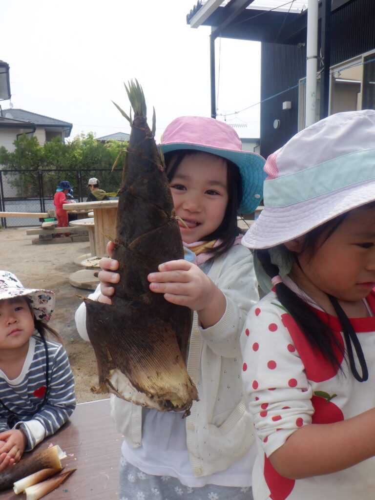 たけのこ・触って・剝いて