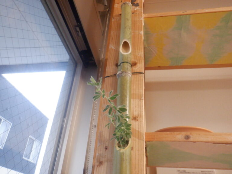 季節によって変化