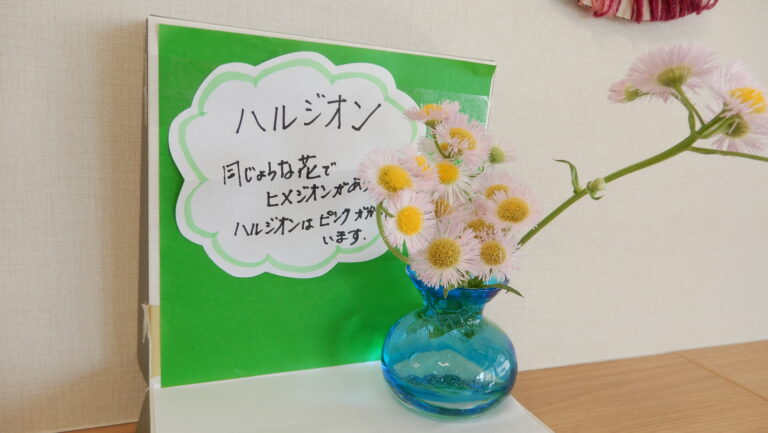 新しいコーナー