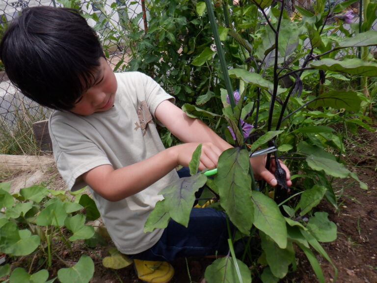 和の心・・修行中　part.２