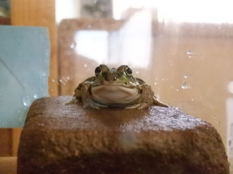 自分の物を持って