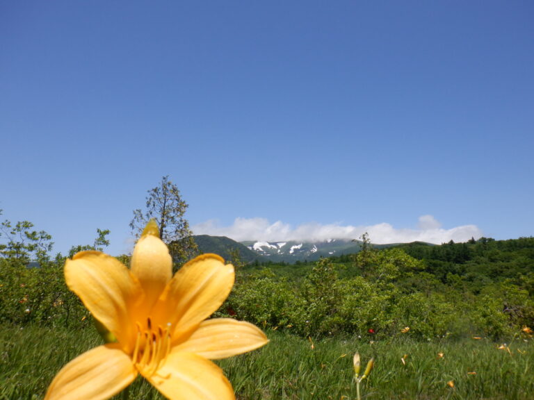 世界谷地原生花園