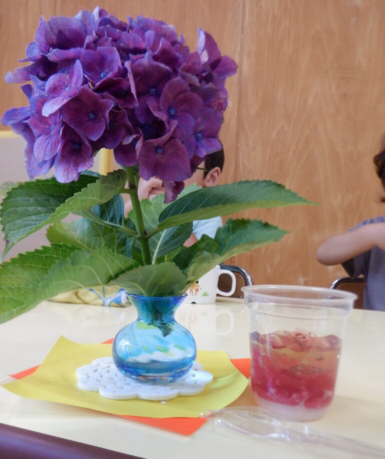 あじさいゼリーはいかが？？