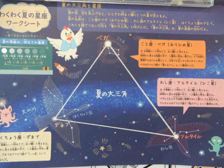 本当の星・・みれるかな？