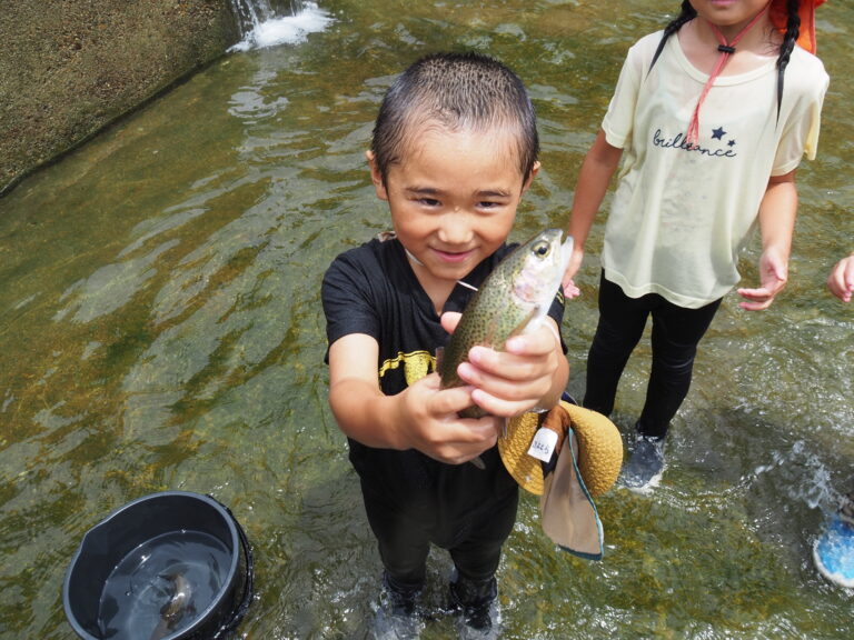 バオバブの巨大化シリーズ！