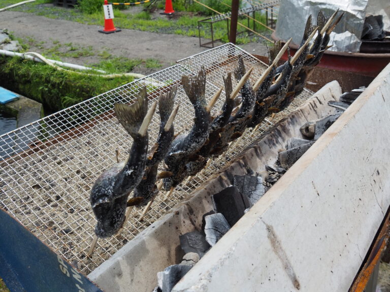 FISHIG＆FARM　遥菜養鱒場