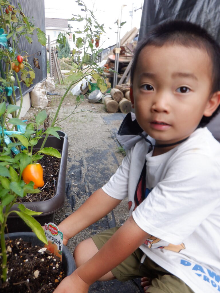 「色が変わったよ！」